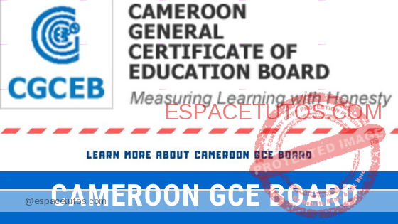 Cameroon 2020 GCE results