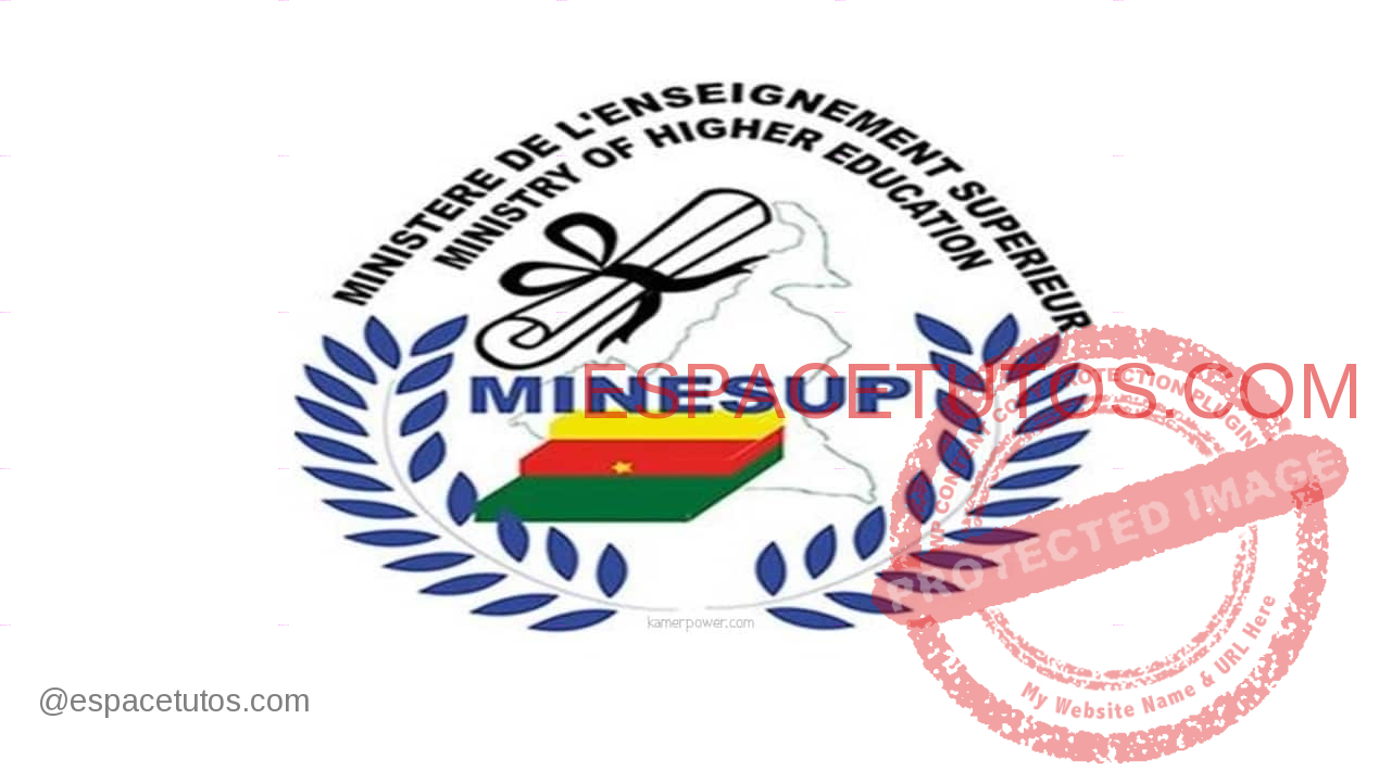 MINESUP Cameroun