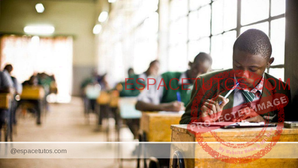 Download All ZIMSEC Grade 7 2020 Specimen Papers and Answers