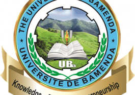 University of Bamenda logo