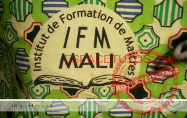Résultats IFM et IFH Mali 2021 PDF 