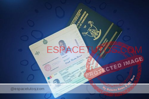 portal.passcam.cm : le lien officiel de Pré-enrôlement en ligne pour le Passeport Biométrique Cameroun