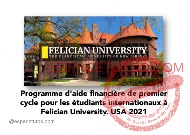 Bourses à Felician University