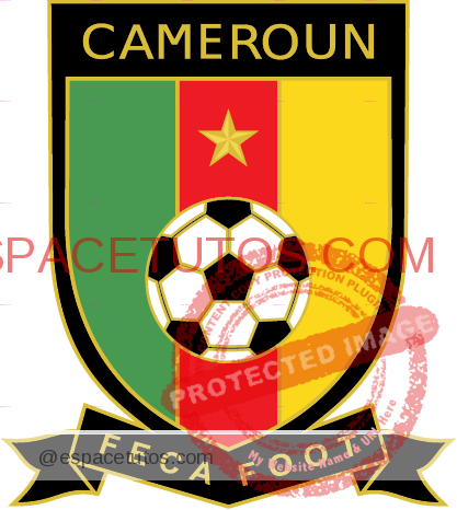 Cameroonian Football Federation Federation camerounaise de football