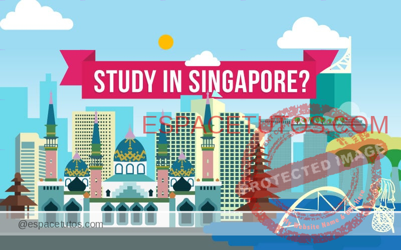 Scholarships for Eritrea to Study in Singapore 2019
