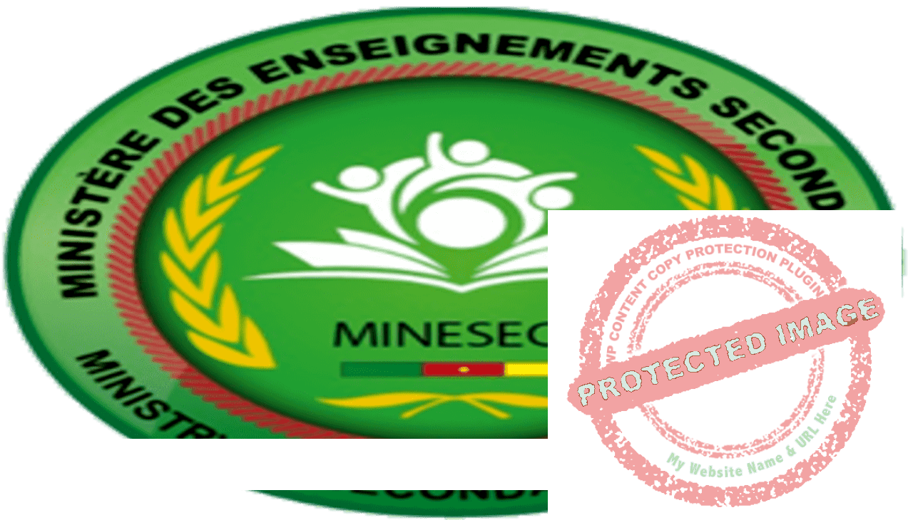 Minesec Cameroun www.minesec.cm 2019 2020 2021