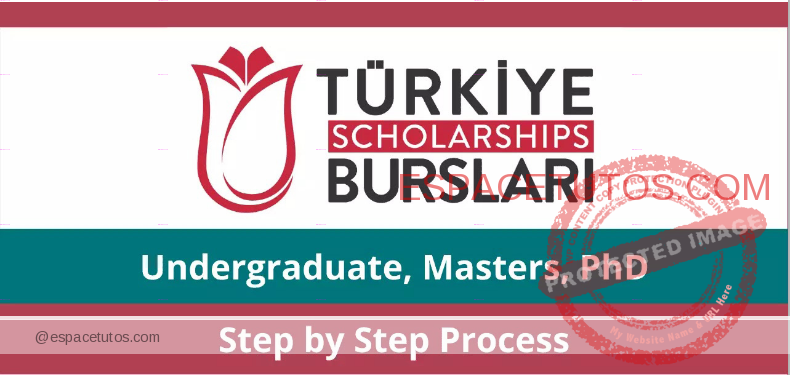 Turkey Scholarships 2022