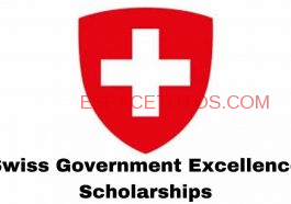 Swiss Government Excellence Scholarships 1 1