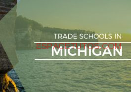 Top Trade Michigan 1200x675 1