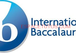 Download All Biology International Baccalaureate IB SL Past Question papers 2021