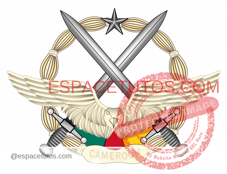 1200px Cameroon Air Force Badge.svg
