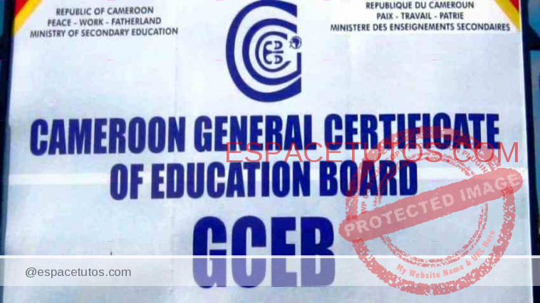Cameroon gce results 2022 pdf