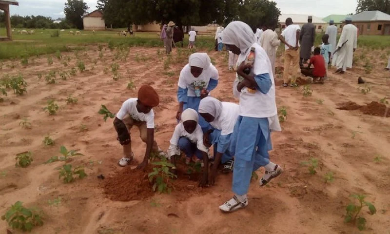 Changements climatiques et les peuples oublies du Sahel a lExtreme Nord Cameroun
