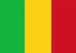 Résultats du BT et CAP Mali 2022 PDF: les proclamations et liste des admis en cours