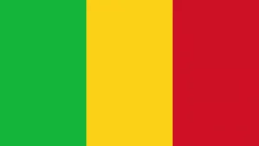 Résultats du BT et CAP Mali 2022 PDF: les proclamations et liste des admis en cours