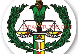 Concours Gendarmerie nationale camerounaise 2023