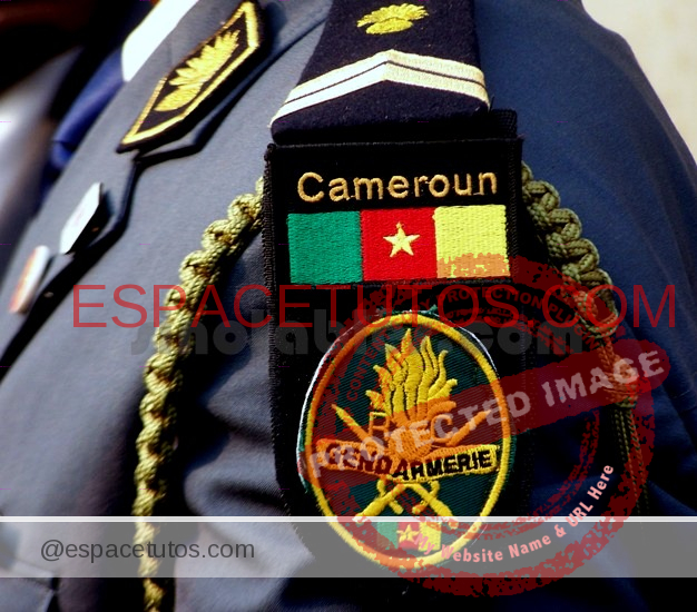 Concours Gendarmerie Cameroun (MINDEF) 2023-2024